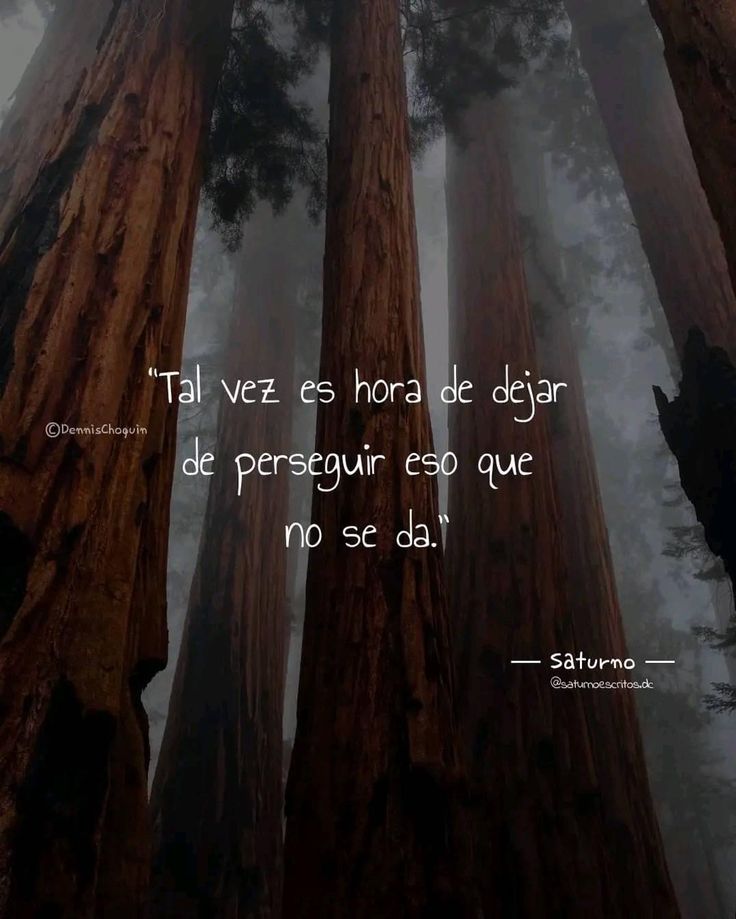 hombres's tweet photo. Miremos nuevos horizontes. https://t.co/jlEhEX7La9