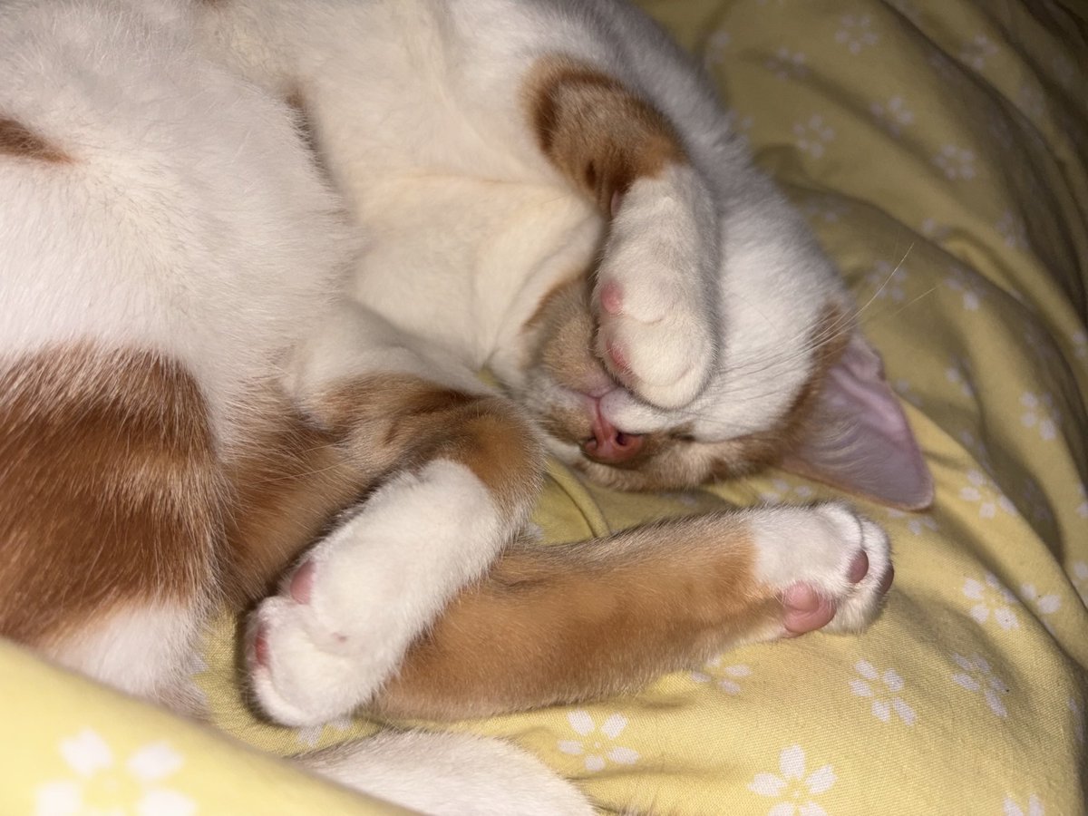 no look me . i sleeping