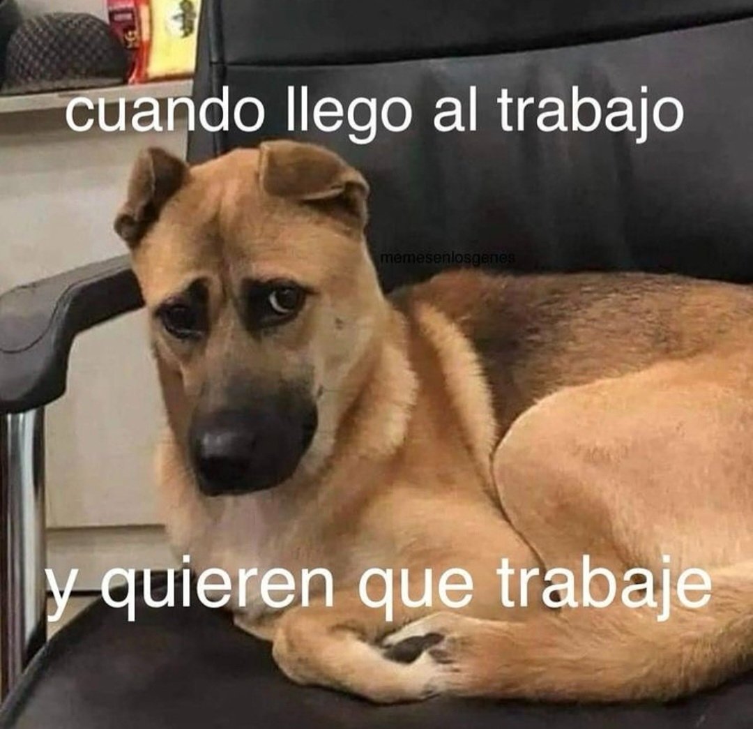 FraseSimple's tweet photo. https://t.co/wiJrEsXyDv