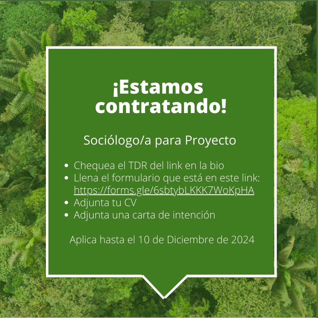 FCAT_EC's tweet photo. 🌱FCAT busca a un/ una sociólogo/a para proyecto *Postula hasta el 10 de diciembre de 2024* 📢Chequea los TDR que está en el link a continuación y postula a través del formulario que se encuentra descrito en el mismo: https://t.co/AAFxBk3akD https://t.co/VPs1uINmYT