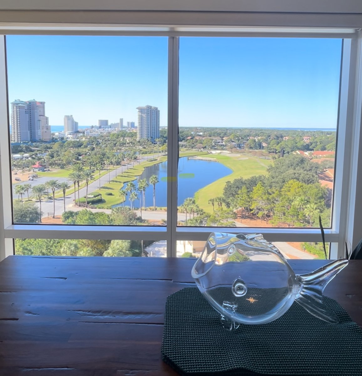 usa1031com's tweet photo. Want a view like this? https://t.co/gCXYY0orDP is home of the best Florida views. https://t.co/rcHA0GXt1q