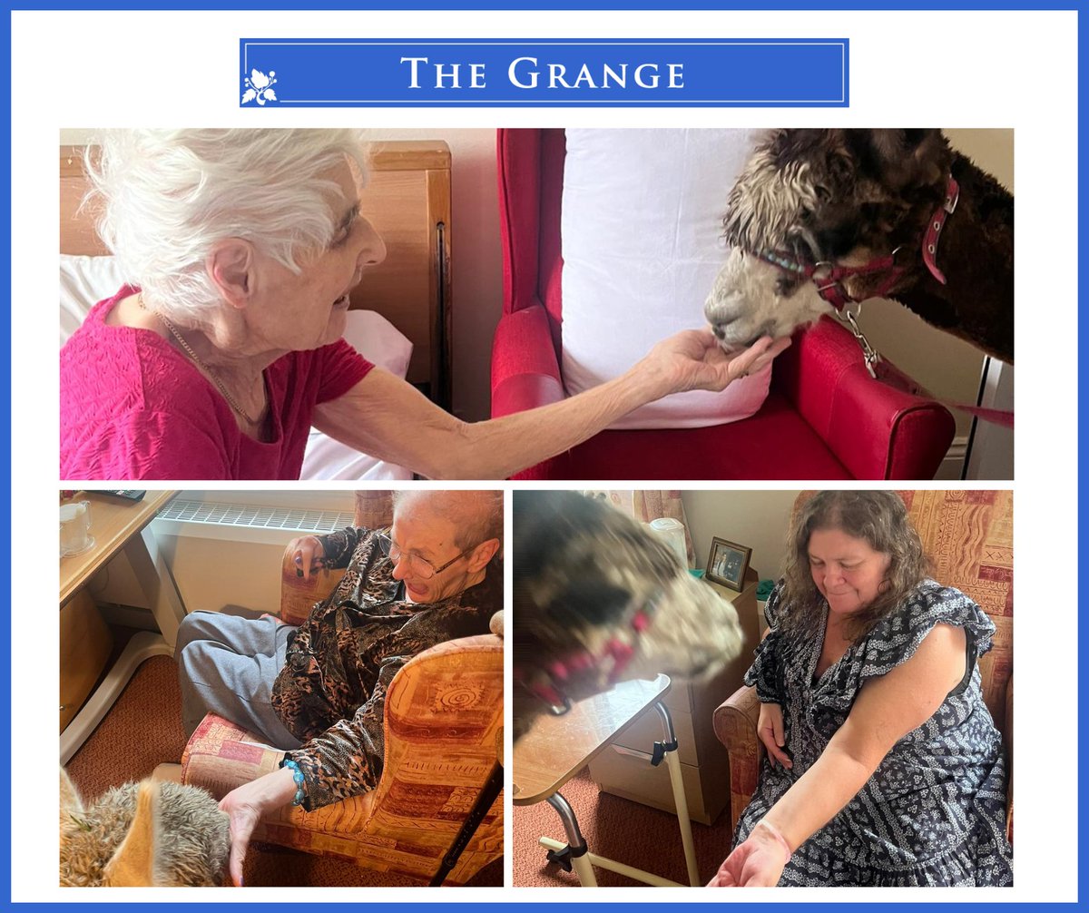 The Grange was once again visited by Mortimer Alpacas, which provided an incredible experience for everyone. The two alpacas walked around the home, allowing the residents to feed and pet them. Everyone thoroughly enjoyed the interaction!