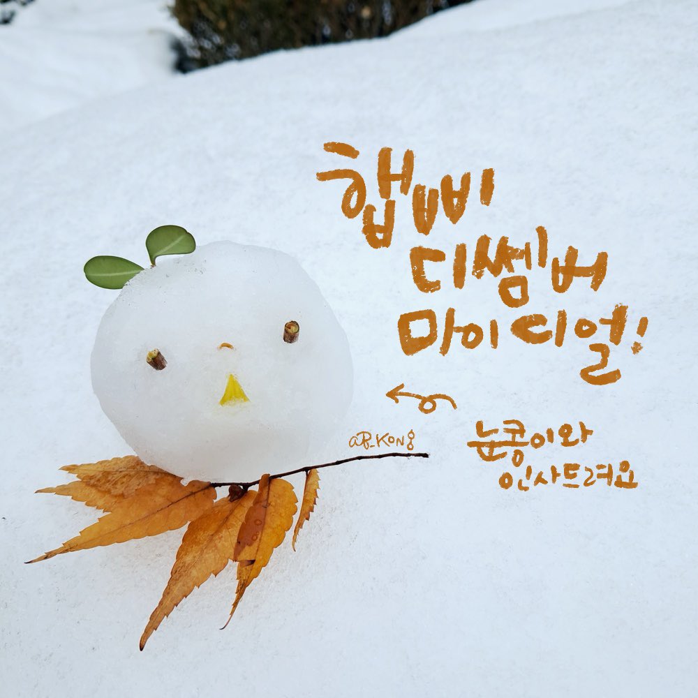 AB_KONG🍳🌸🐞 tweet media