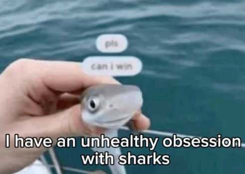 Michael (@lilshark2845) / Posts / X