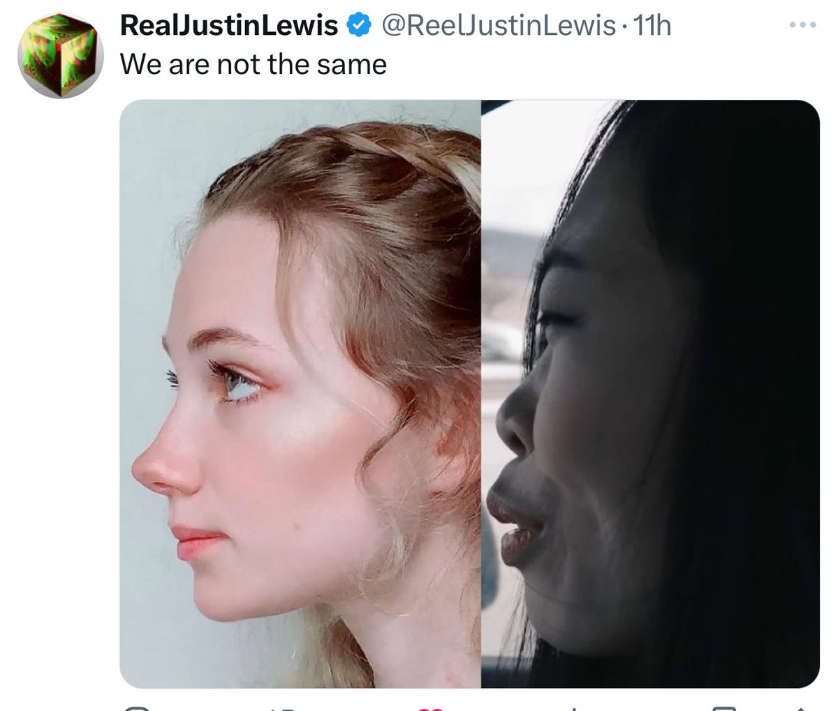 Canadian Patriot tweet media