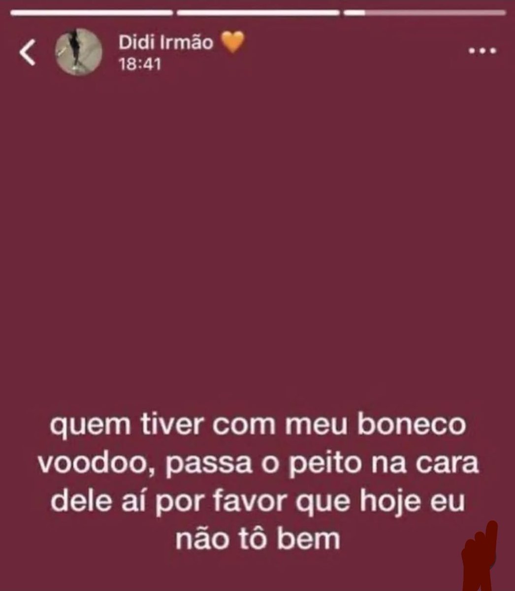 perfil dedicado a gatinhos e peitos (@odeiootaco) on Twitter photo 