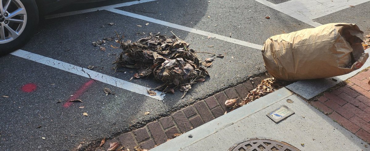 Ghoncheh's tweet photo. The leaf collection folks were here. They moved these bags into the street, emptied some in their machine &amp; left the rest in the middle of the road! They left piles  &amp; now they are all gone. Corner of 1st and E and NC and NJ ave SE  @DCDPW @311DCgov @charlesallen @MayorBowser https://t.co/i4tYKcsYe5