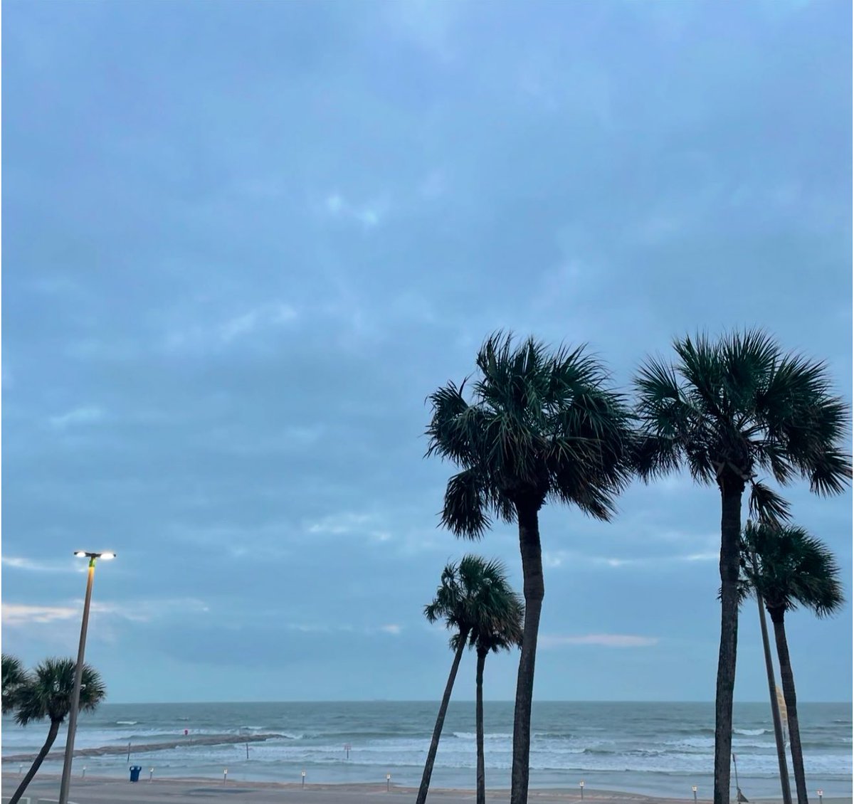 BCM Psychiatry Residency tweet media