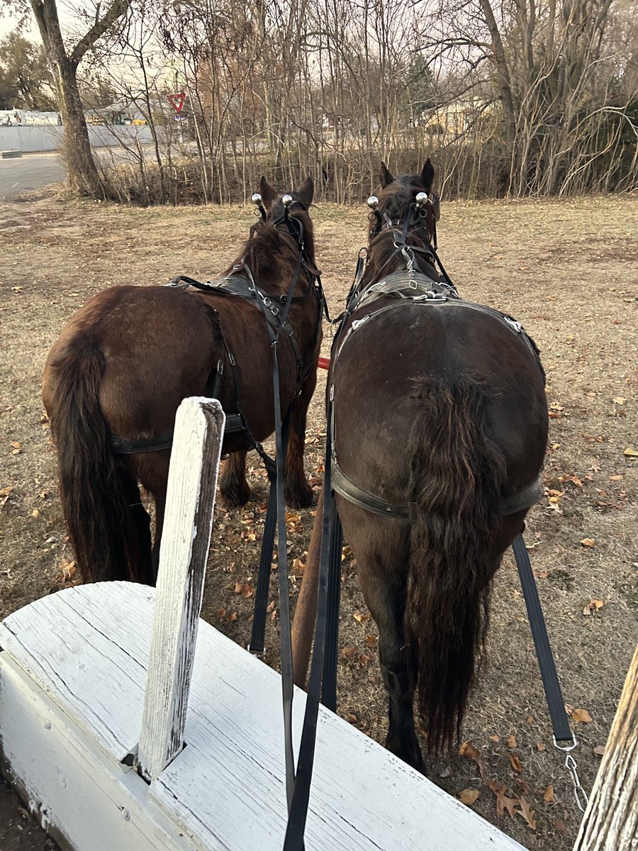It that time of year. Wagon rides through Lemons Park