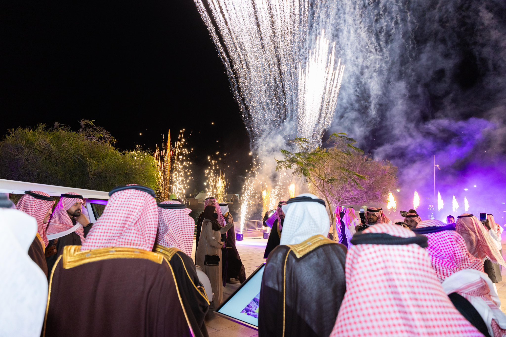الصورة