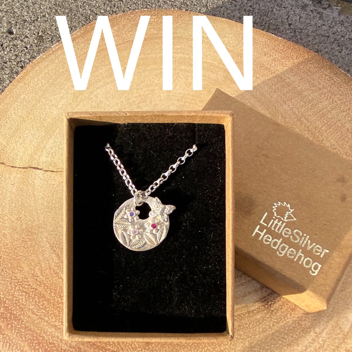 susan1375's tweet image. #win this  #littlesilverhedgehog floral butterfly pendant in my #competition. A % of each sale from all her jewellery goes towards saving hedgehogs and supporting her rescue. follow, retweet and comment. C/D 02 Jan 2025 11.59Pm GMT.  open wwide. #win #hedgehog #saveourhedgehogs