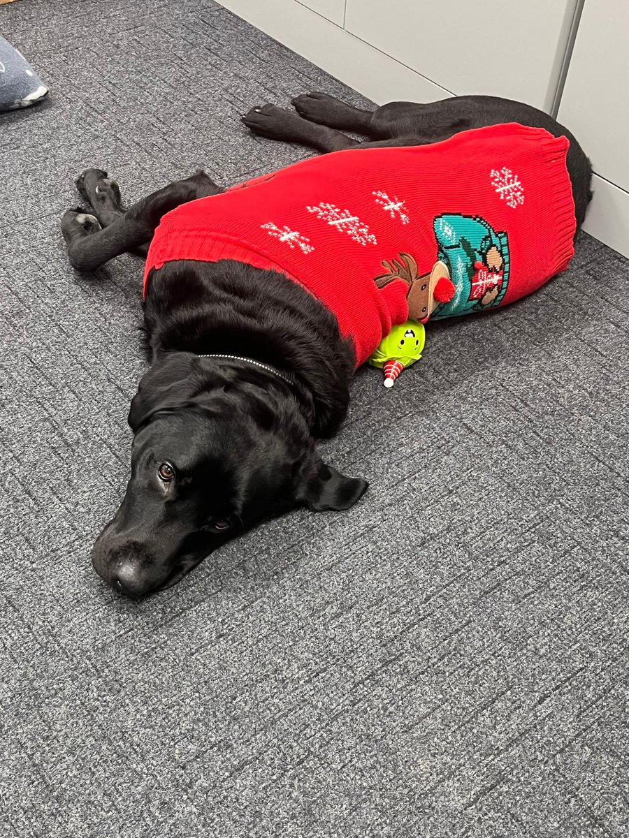 Obi Wong & Mrs Wong tweet media