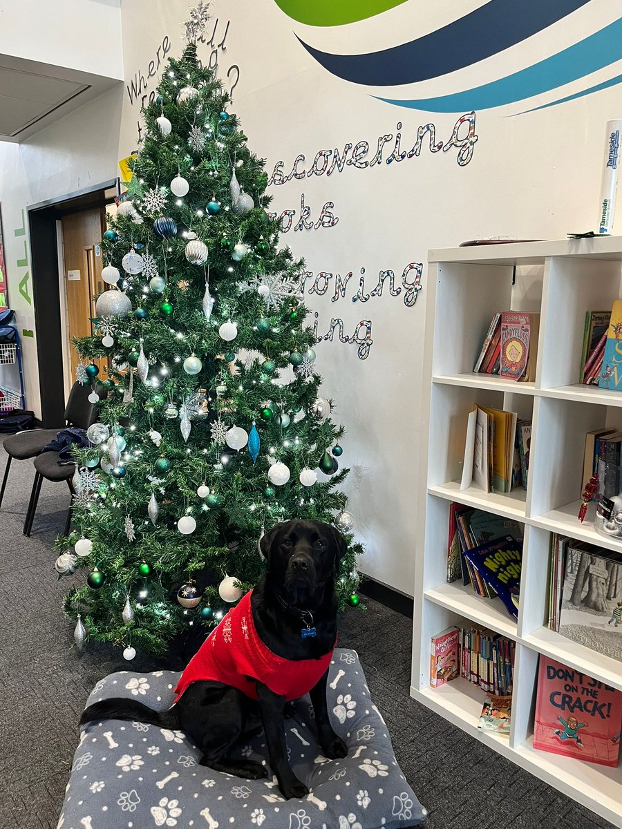 Obi Wong & Mrs Wong tweet media