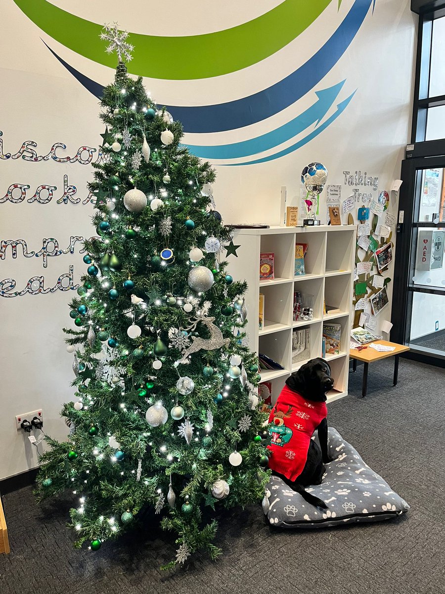 Obi Wong & Mrs Wong tweet media