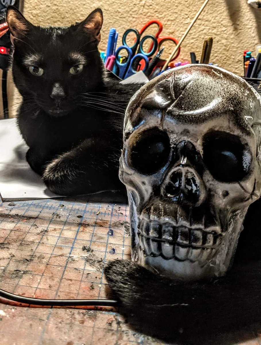 alexander harper (@alexanderh41691) on Twitter photo 