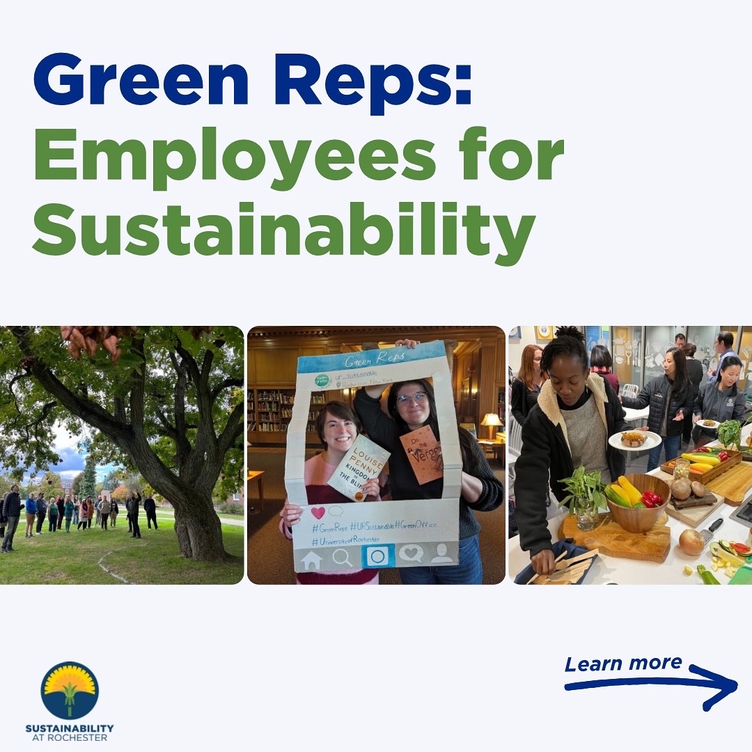UR Sustainable tweet media