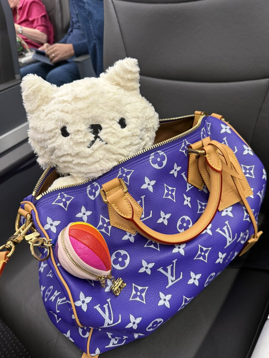 Miami Bound ✈️ Art Basel 2024