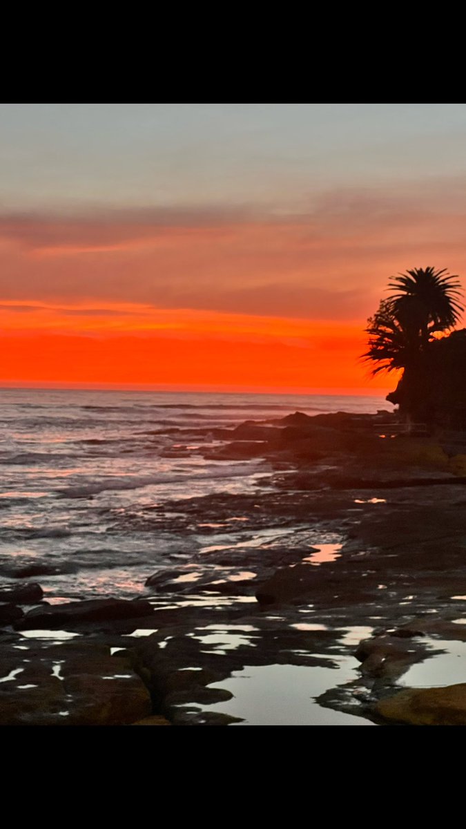 NickDellis_'s tweet photo. #5amclub #crounulla https://t.co/AwK38qlAPj