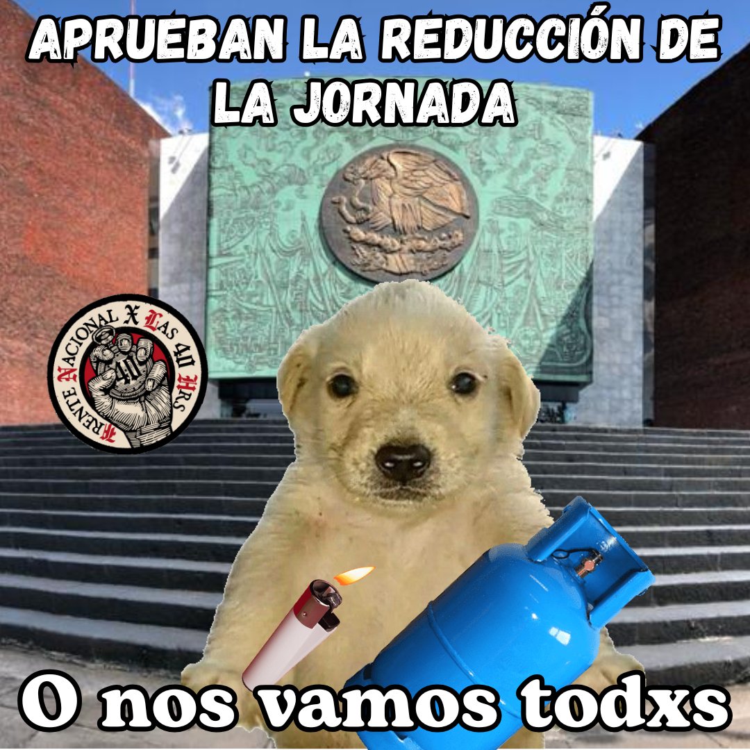 YoXLas40Horas2's tweet photo. #YoPorLas40Horas https://t.co/4xAifzrdy9