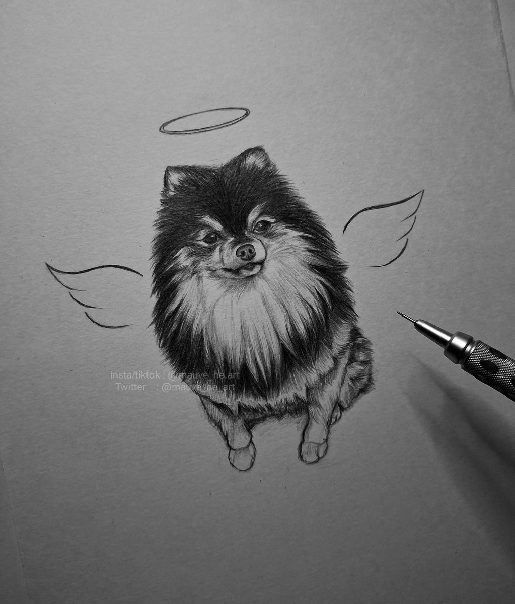 Mauve_he_art's tweet photo. My angel ~🕊️🐶🤍 https://t.co/hhexIgxPTZ
