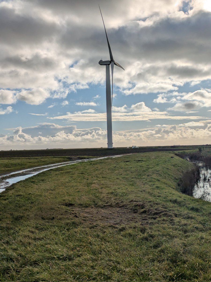 BuzzingSouthEast tweet media