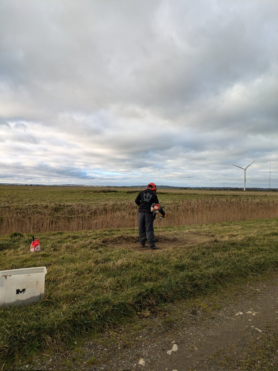 BuzzingSouthEast tweet media