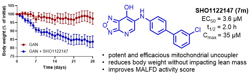 Webster Santos (@santoslabvt) on Twitter photo Congrats to @maryolsen222 & Martina Beretta (<a href="/HoehnLab2099/">Hoehn lab</a>) for developing #mitochondrialuncoupler to fight #obesity. Weight loss without affecting lean mass = 🙌💪. <a href="/VTChemDept/">Virginia Tech Chemistry</a> <a href="/VT_Science/">Virginia Tech Science</a> <a href="/ACSBioMed/">ACS Publications Bio & Med Chem Content</a> see it here: doi.org/10.1021/acs.jm… Congrats to @maryolsen222 & Martina Beretta (<a href="/HoehnLab2099/">Hoehn lab</a>) for developing #mitochondrialuncoupler to fight #obesity. Weight loss without affecting lean mass = 🙌💪. <a href="/VTChemDept/">Virginia Tech Chemistry</a> <a href="/VT_Science/">Virginia Tech Science</a> <a href="/ACSBioMed/">ACS Publications Bio & Med Chem Content</a> see it here: doi.org/10.1021/acs.jm…