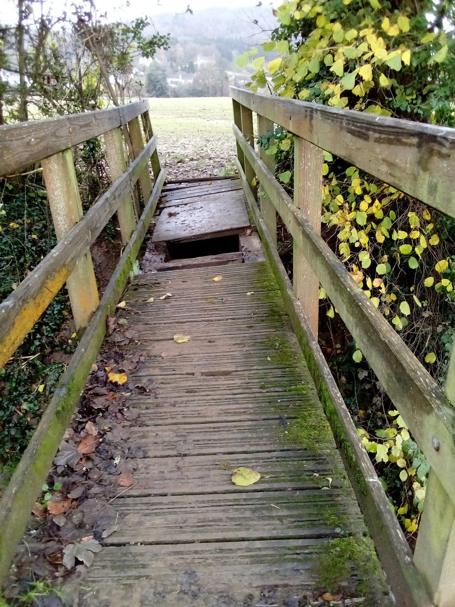 Matthew J Conroy tweet media