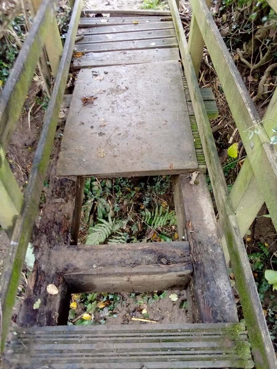 Matthew J Conroy tweet media