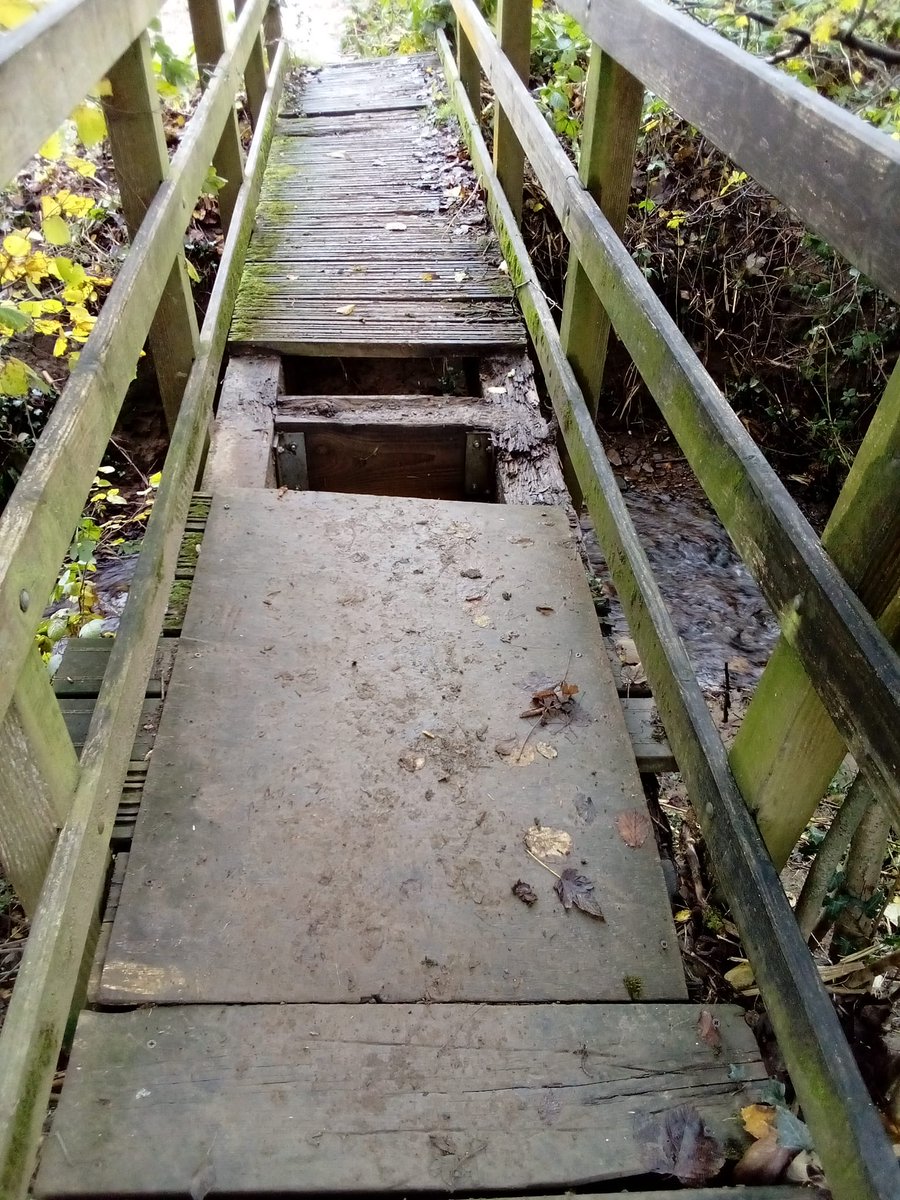 Matthew J Conroy tweet media