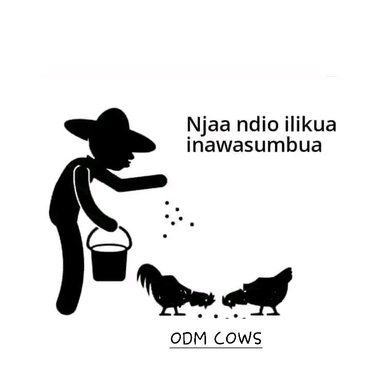 😂😂😂😂😂😂