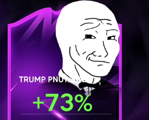crypto_matakite's tweet photo. 73% TRUMP PNUT/SOL 📈  

Join the free telegram! Link in bio. https://t.co/zpmW3mSy0f