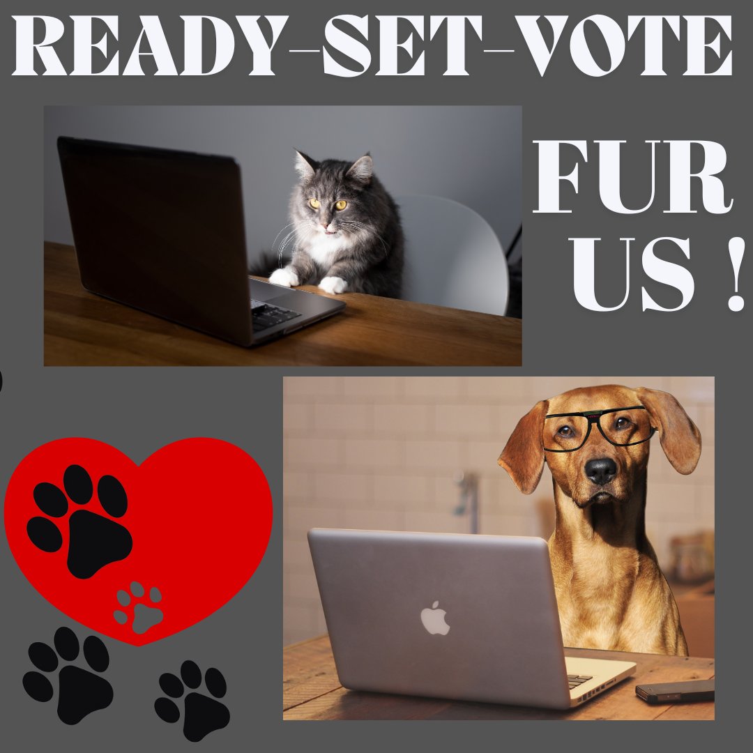 TODAY!! Scheels is donating $20,000 to local non-profits chosen by YOU! Voting ends tomorrow! 
1. Click here forms.gle/z2iJCqbxuvdt8V… 
2. Nominate Siouxland Humane Society – website address siouxlandhumanesociety.org
3. Done! Please have spouse, friends, coworkers help – share!