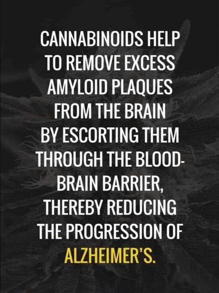 KindIdaho's tweet image. #kindidaho #Decriminalization #AllcannabisisMedical #helpidaho #chad #adhd #killscancer