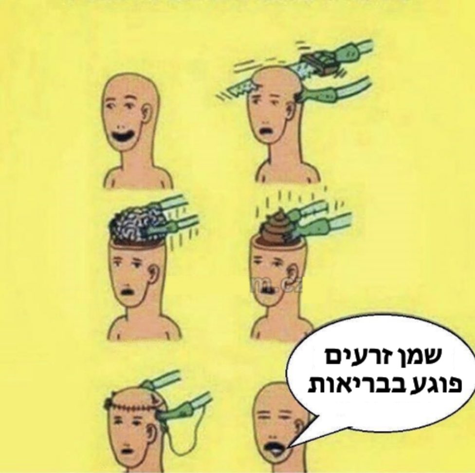 Tal Ben moshe tweet media