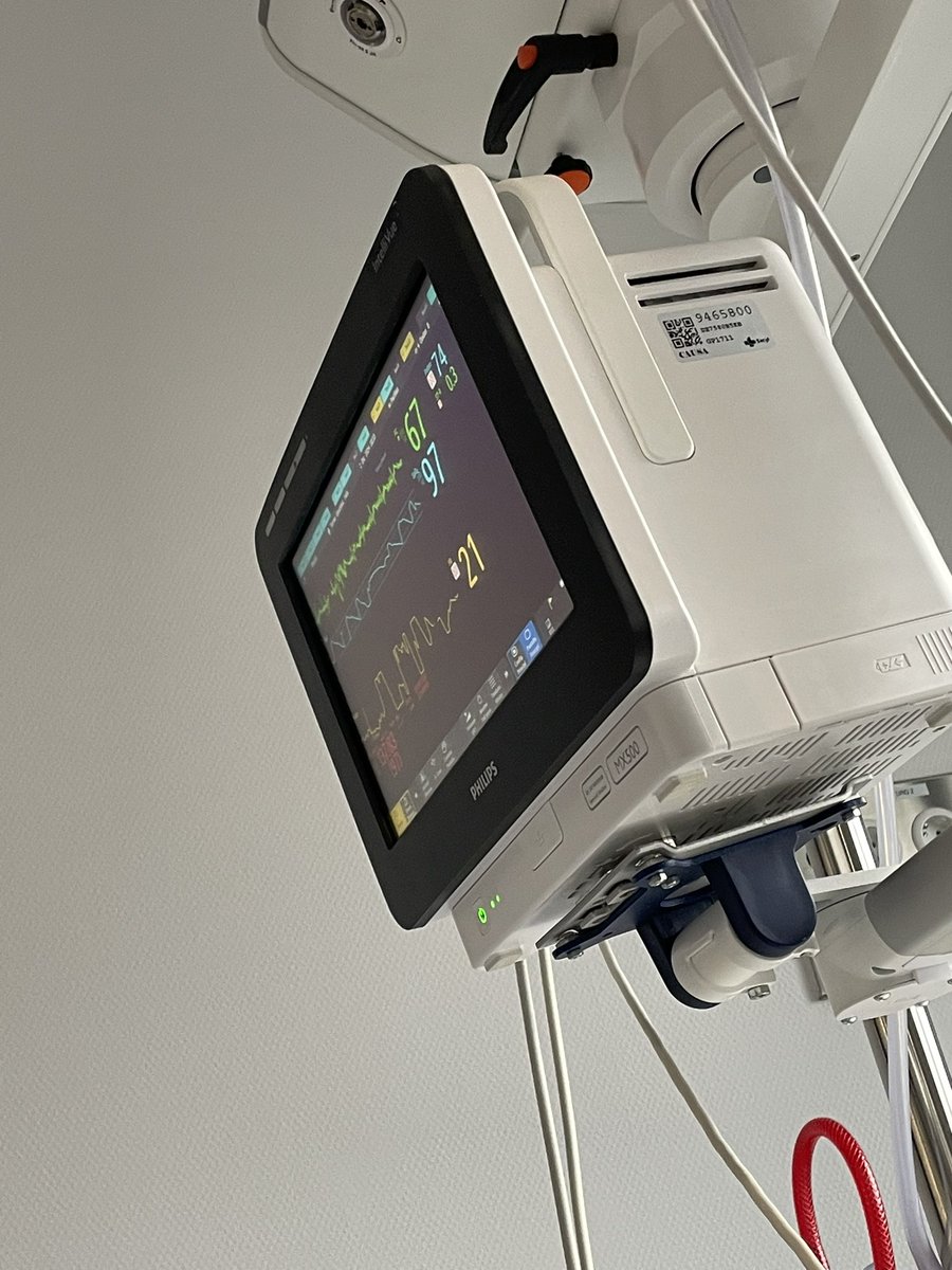 Buzzy_Bee (FélixTorres) tweet media