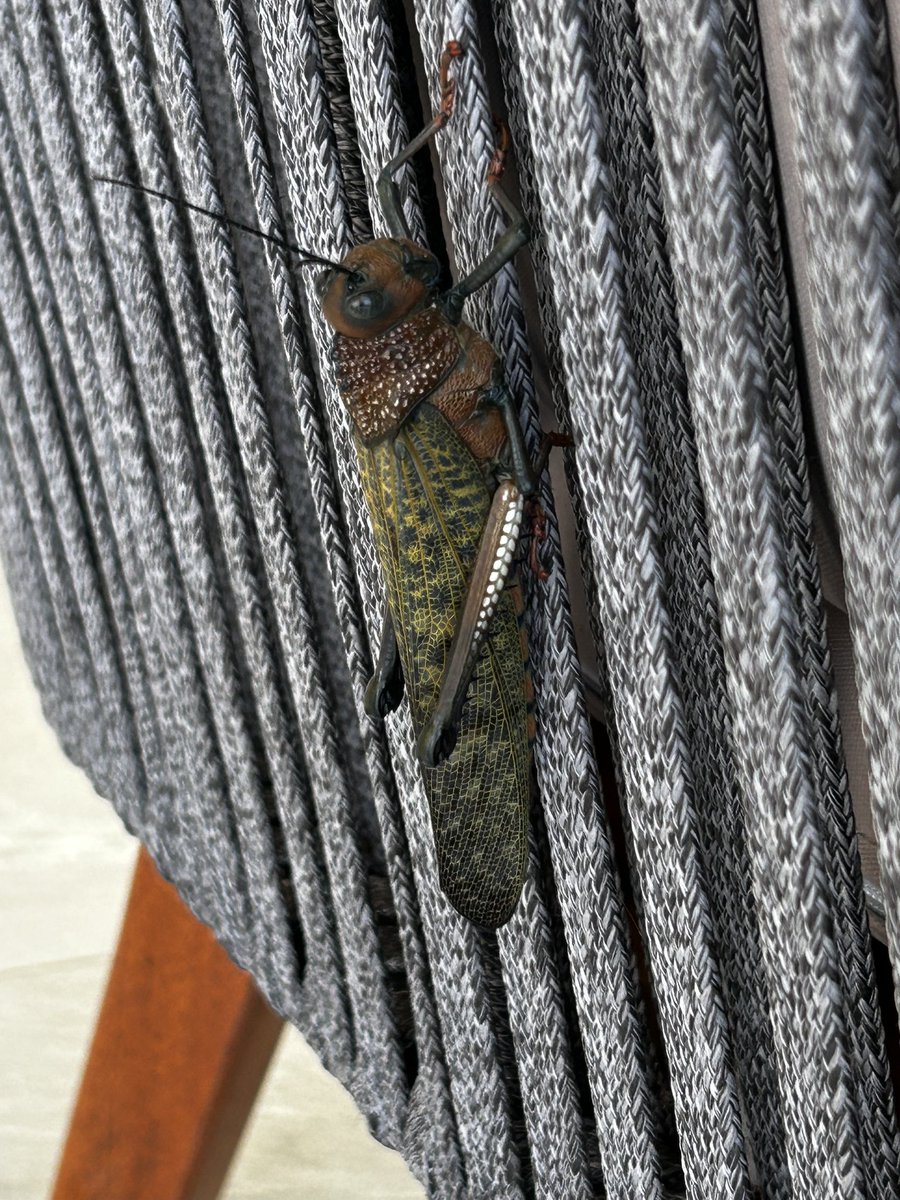 Jack Payne tweet media