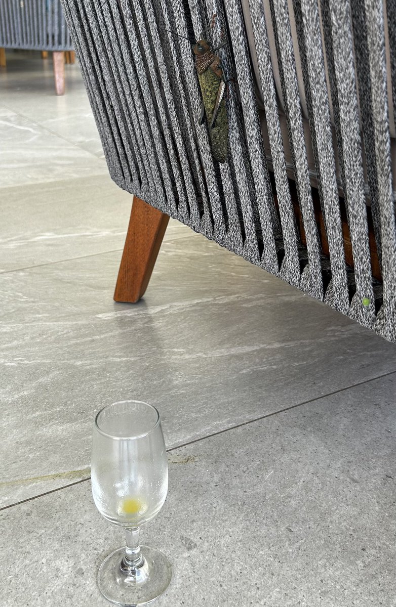 Jack Payne tweet media