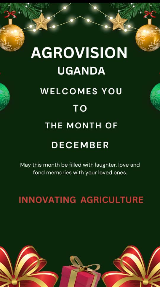 agrovision_ug's tweet photo. At Agrovision, we believe in the power of community—where shared knowledge, collaboration, and innovation thrive. That’s why this December, we’re excited to reach out and connect with you, our vibrant communities, right where you are.
Whether you’re a farmer, or in agribusiness https://t.co/o2ORyBgiok