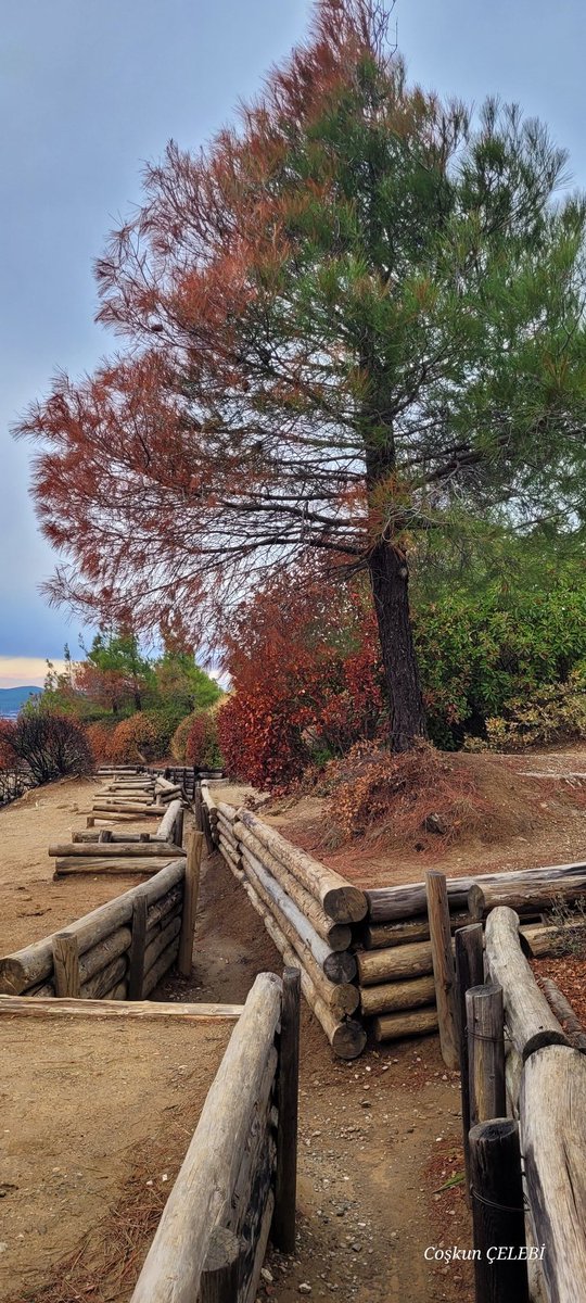 Gülüşünde hayal kursam
Gamzende yaşasaydım