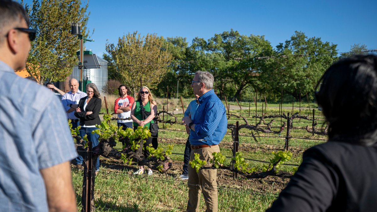UC Davis GSM (@ucdavismba) on Twitter photo The #UCDavis Wine Executive program returns in 2025! Rising wine industry professionals: join us in Davis March 24-27 for sessions on finance, analytics + more to gain an added edge in the industry.
Learn more: bit.ly/3YU6iGe #WineBusiness <a href="/ucdavisCAES/">CA&ES, UC Davis</a> <a href="/UCD_RMI/">RMI Wine&FoodScience</a> The #UCDavis Wine Executive program returns in 2025! Rising wine industry professionals: join us in Davis March 24-27 for sessions on finance, analytics + more to gain an added edge in the industry.
Learn more: bit.ly/3YU6iGe #WineBusiness <a href="/ucdavisCAES/">CA&ES, UC Davis</a> <a href="/UCD_RMI/">RMI Wine&FoodScience</a>