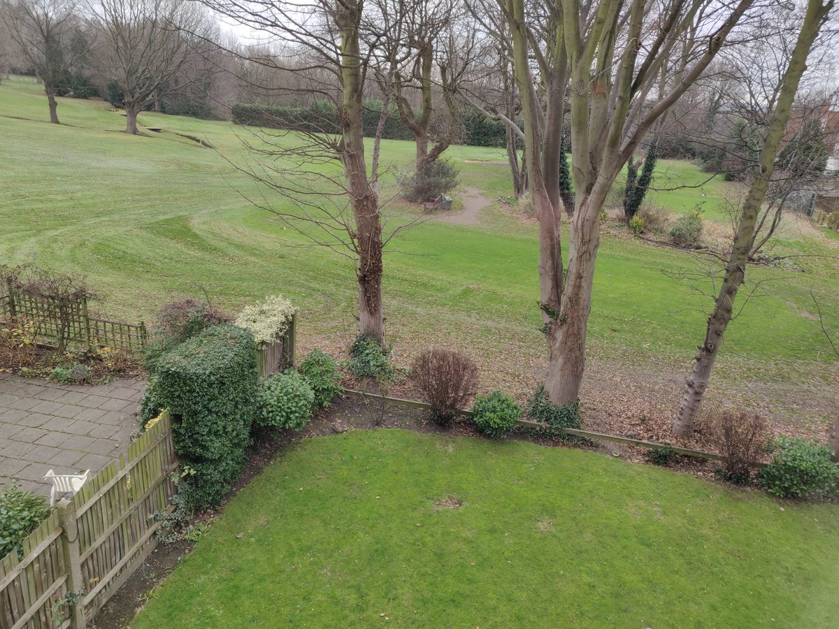 ⚠️Coombe Hill Police team have alerted us of a spate of burglaries from properties backing on to the golf courses. Sadly there were 2 residential burglaries off of Kingston Hill. There was another off of Coombe Lane West recently. Check the security of your back gardens.