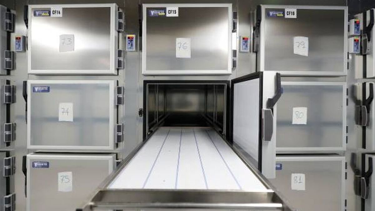 Mi calendario de adviento.

Gestionando.