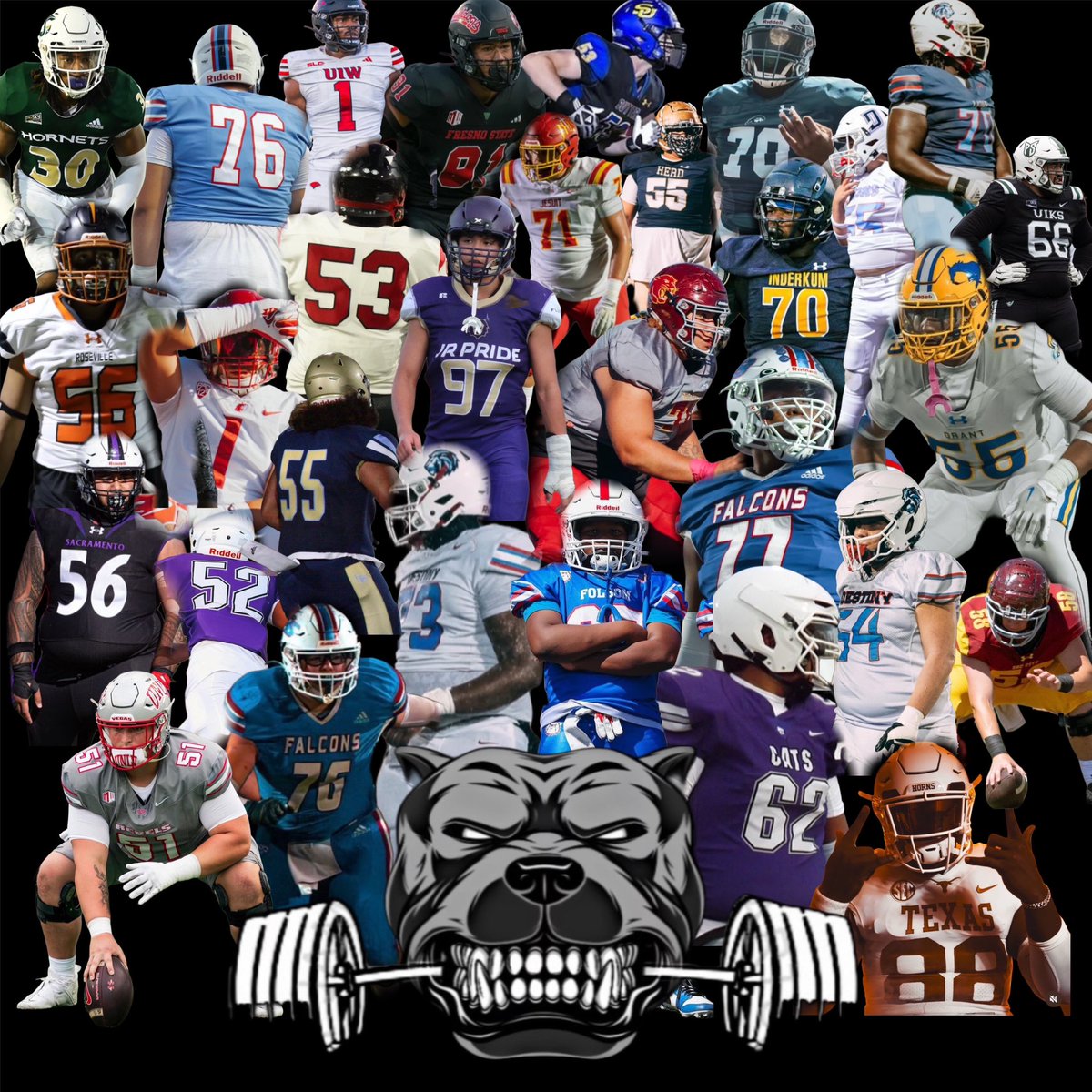 Big Dawg Select tweet media