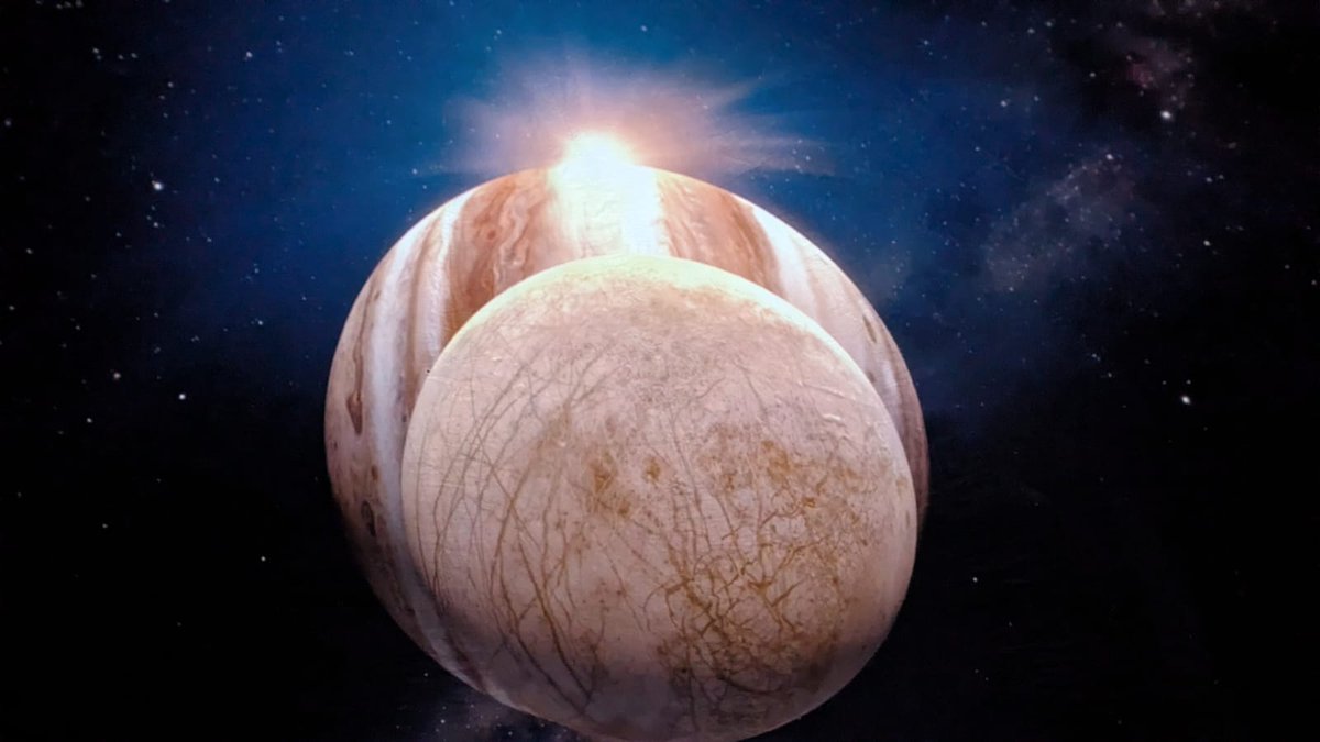 Community Supporters tweet media