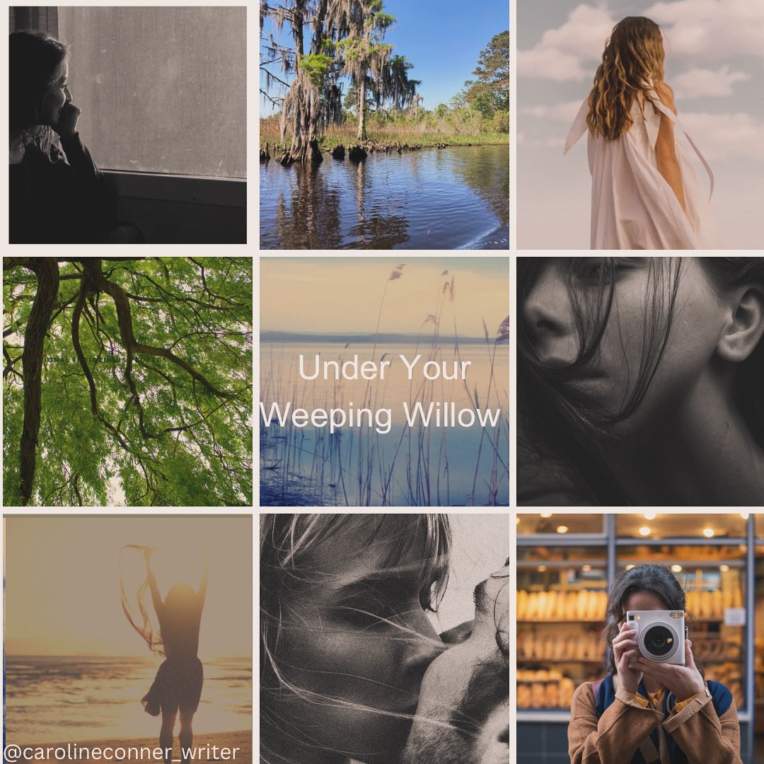 caconner_writer's tweet photo. Picture board for my first manuscript! Querying in the new year 🥳
QOTD: Do you have any big plans coming up?
#yawriter #aspiringwriter #querying #pictureboard https://t.co/Ue23okvW19