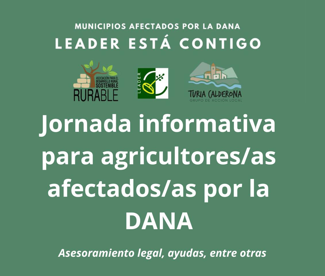 AgroNewsCV's tweet photo. Los grupos de acción local #Rurable y @turiacalderona @TUCAL1420 asesoran a empresas y autónomos de pueblos rurales afectados por la DANA con la ayuda de la @dipvalencia 

https://t.co/G3TKhSRmxk https://t.co/zwRcVNZBE1