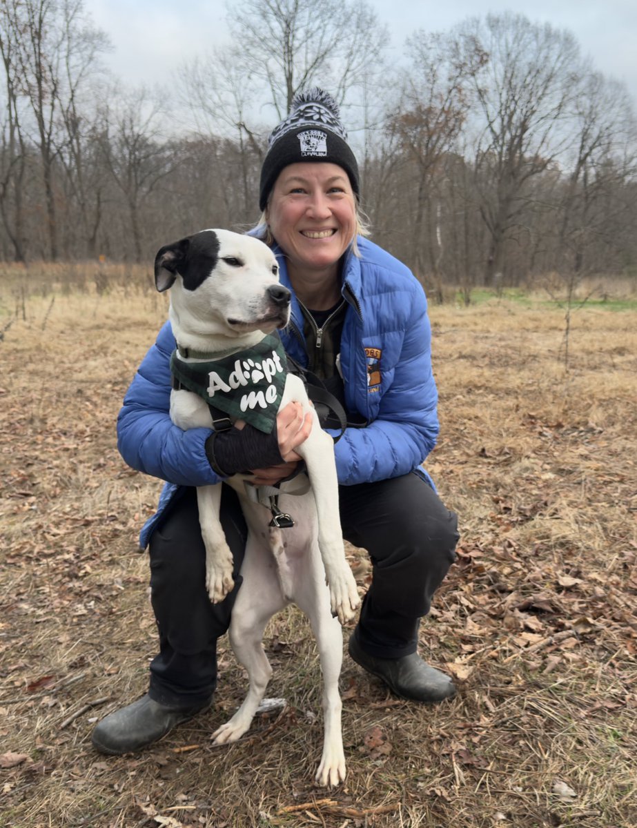 City Dogs Cleveland tweet media