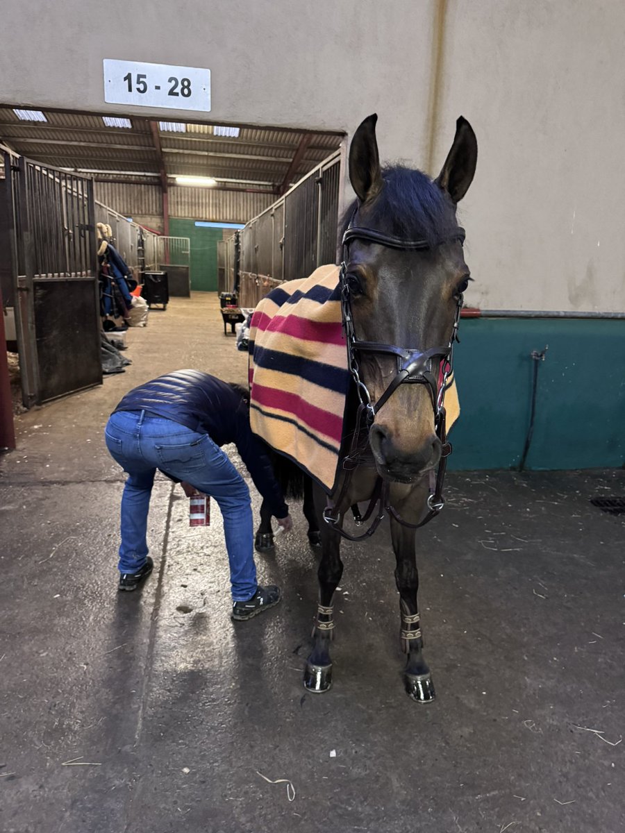 First stay away competition with all 4 Kids competing - never again for Charlie!