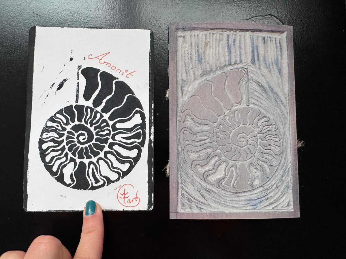 Not posting faults, but happy to share some linoprinting art 😁! Been working to create #fossils themed postcards/bookmarks for our department museum, and develop a creative workshop for kids to engage them with earth sciences and discover the amazing world of fossil!
#geologyart